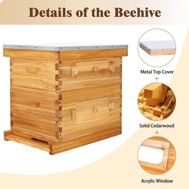 BeeCastle 10-Frame Langstroth Beehive, Beeswaxed Coated Bee Hive Starter Kit for Beekeeping Beginners with Beehive Frame and Waxed Foundation (1 Deep Beehive Box & 1 Medium Beehive Box) - Image 3